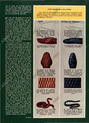 BLANCO Y NEGRO MADRID 09-03-1974 página 62