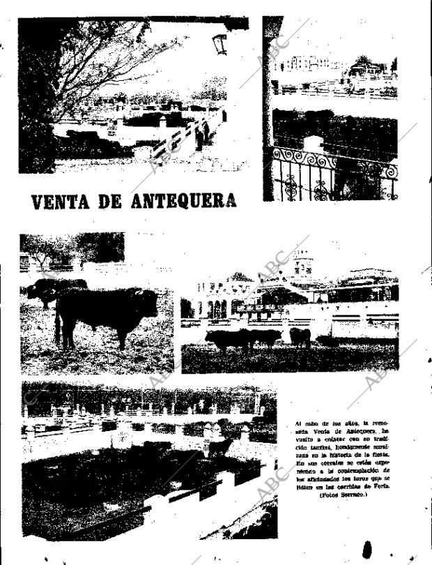 ABC SEVILLA 18-04-1974 página 13