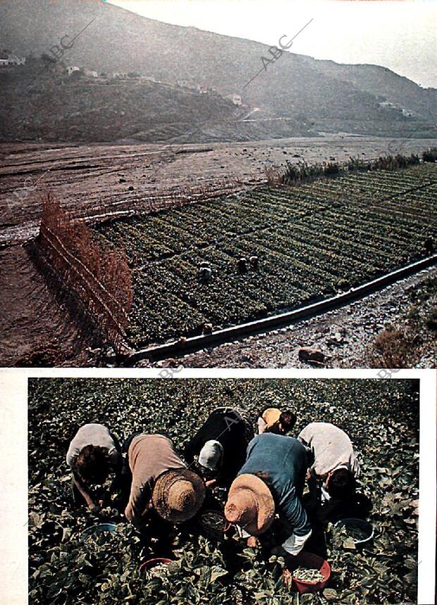 BLANCO Y NEGRO MADRID 08-06-1974 página 28