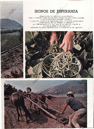 BLANCO Y NEGRO MADRID 08-06-1974 página 29