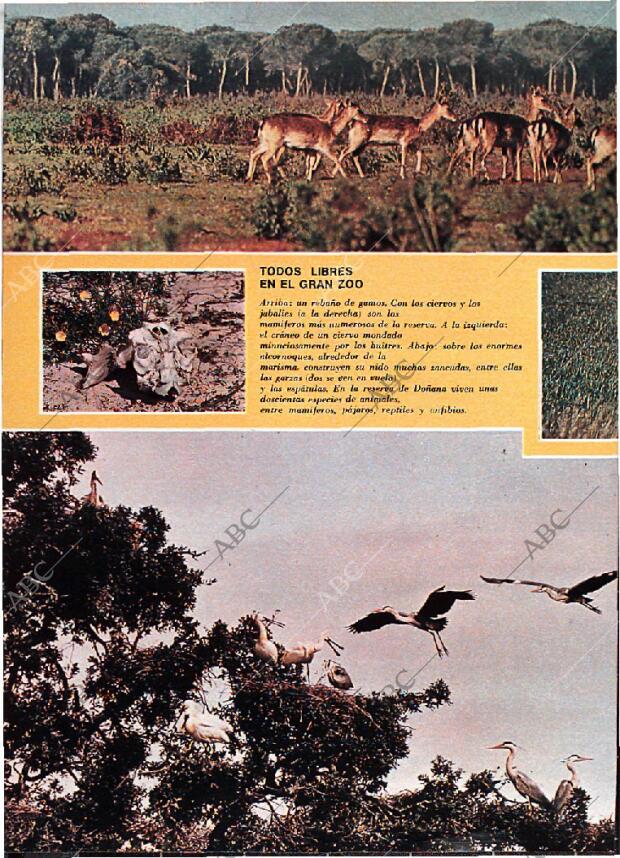 BLANCO Y NEGRO MADRID 29-06-1974 página 42