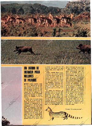 BLANCO Y NEGRO MADRID 29-06-1974 página 43