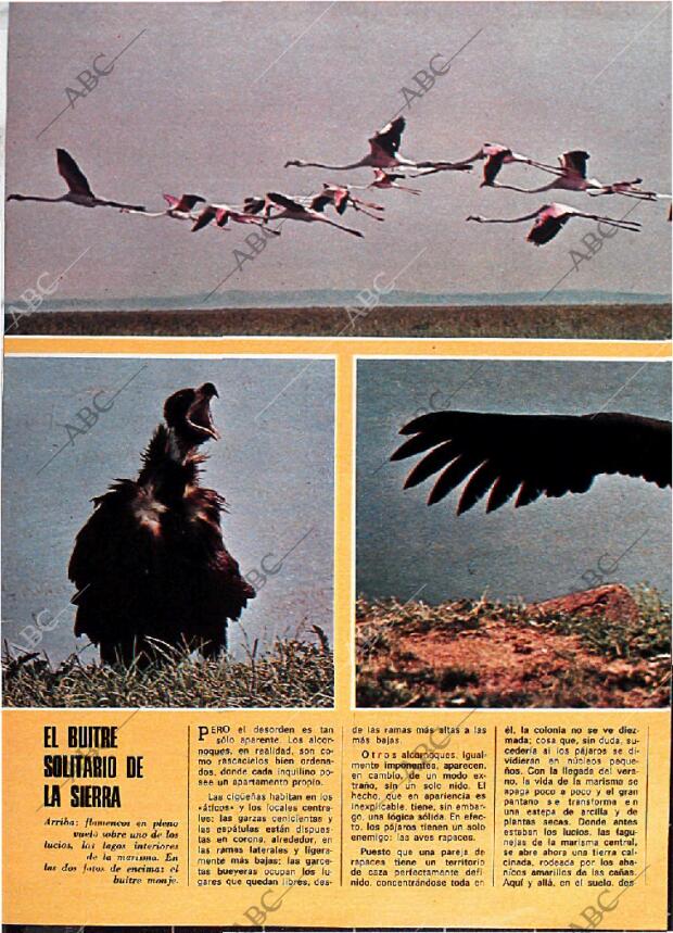 BLANCO Y NEGRO MADRID 29-06-1974 página 44