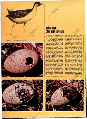 BLANCO Y NEGRO MADRID 29-06-1974 página 47