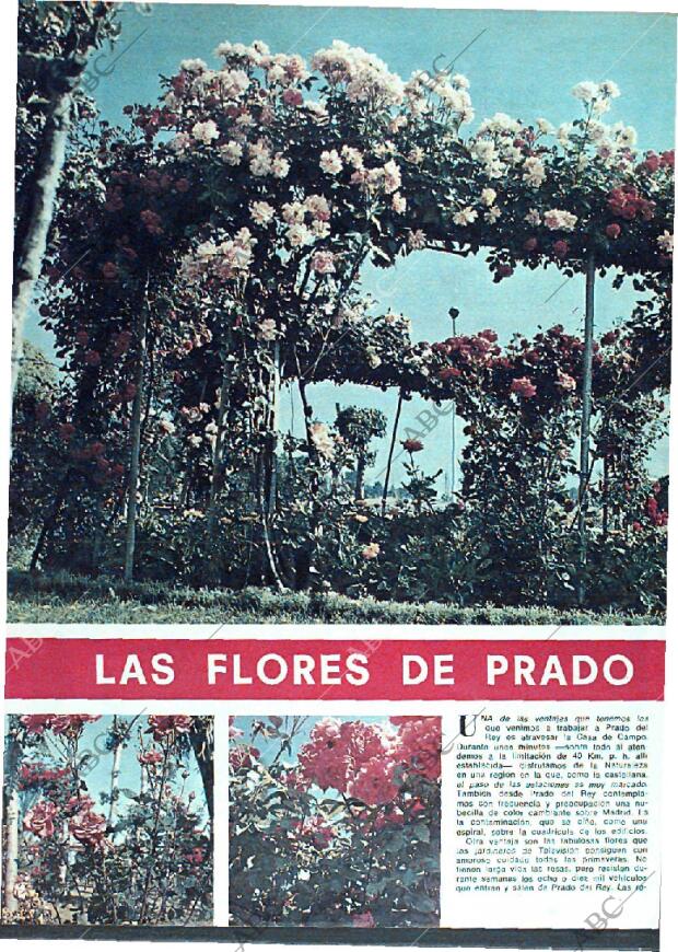 ABC MADRID 14-07-1974 página 128