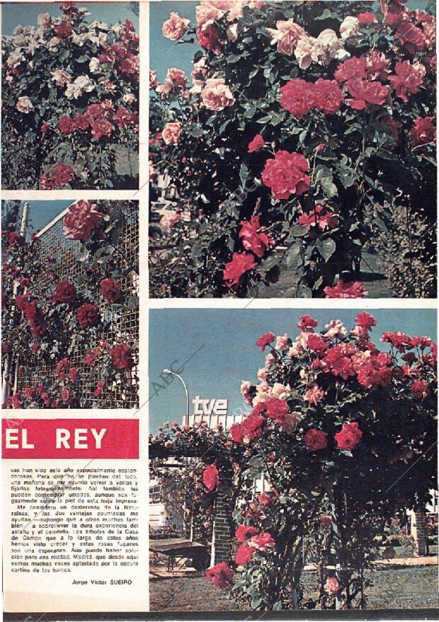 ABC MADRID 14-07-1974 página 129