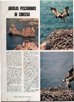 BLANCO Y NEGRO MADRID 10-08-1974 página 20