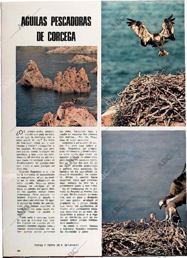 BLANCO Y NEGRO MADRID 10-08-1974 página 20