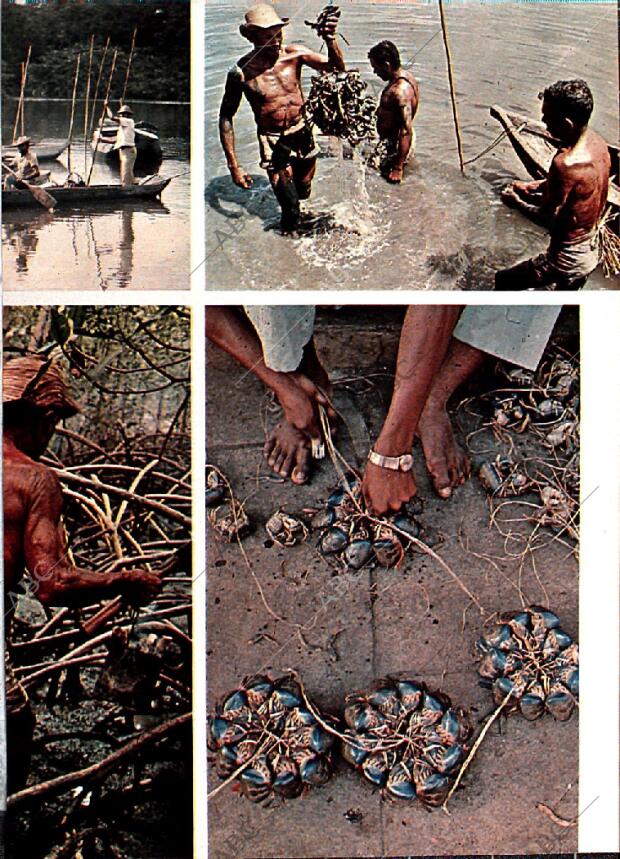 BLANCO Y NEGRO MADRID 17-08-1974 página 21