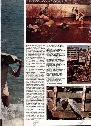 BLANCO Y NEGRO MADRID 17-08-1974 página 49