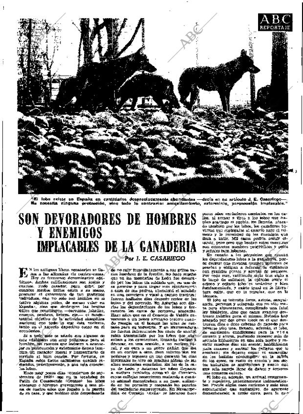 ABC MADRID 20-09-1974 página 115