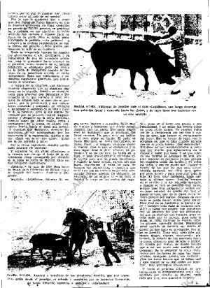 ABC SEVILLA 22-11-1974 página 57