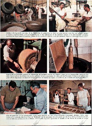 BLANCO Y NEGRO MADRID 07-12-1974 página 50