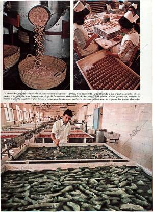 BLANCO Y NEGRO MADRID 07-12-1974 página 53