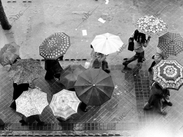 Lluvia en las calles de Madrid. Los paraguas invaden las aceras