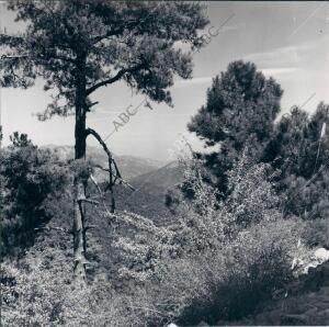 Paisaje que Hay que traspasar para llegar A la localidad de Cazorla