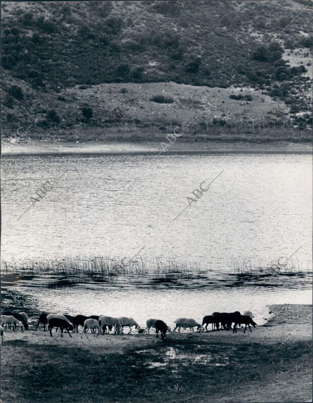 Paisaje de la laguna de Ruidera