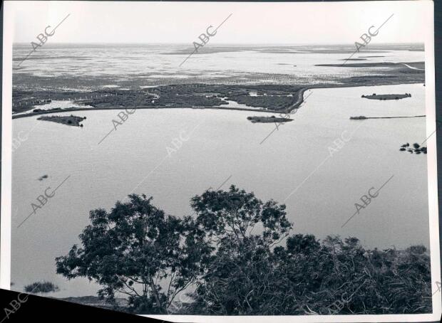 Marismas en el coto de Doñana