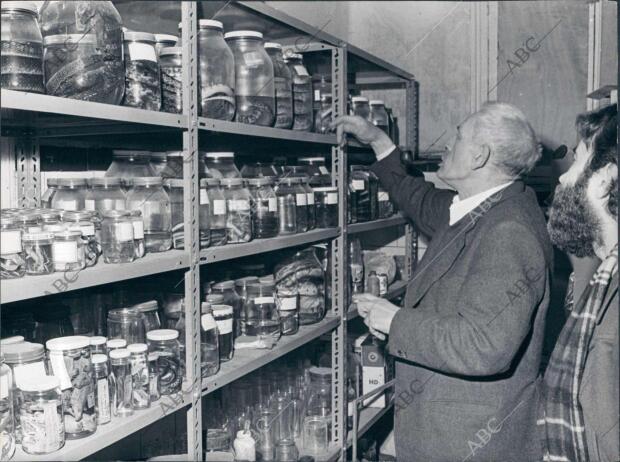 Investigadores en el laboratorio del coto de Doñana