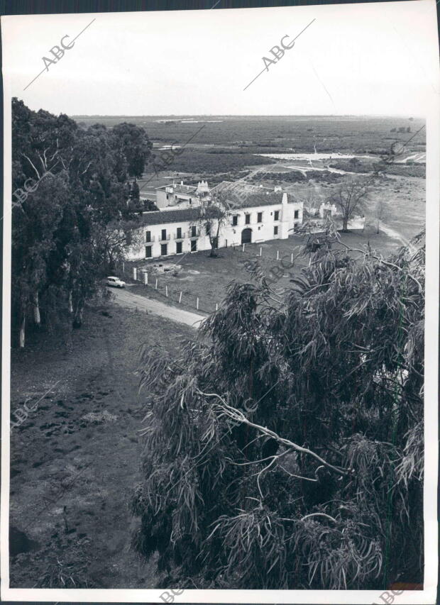 Palacio del coto de Doñana