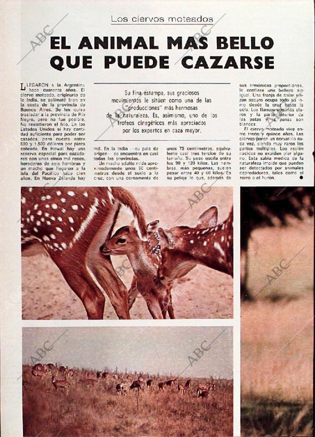 BLANCO Y NEGRO MADRID 01-02-1975 página 42