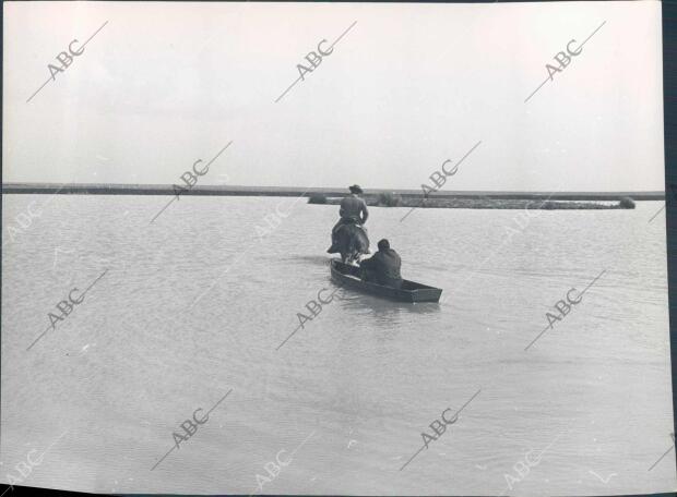 Marismas en el coto de Doñana