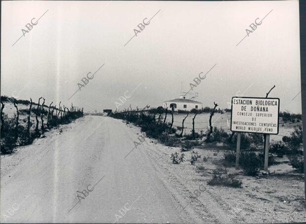 Entrada A la estación Biológica de Doñana