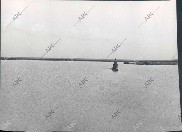 Marismas en el coto de Doñana