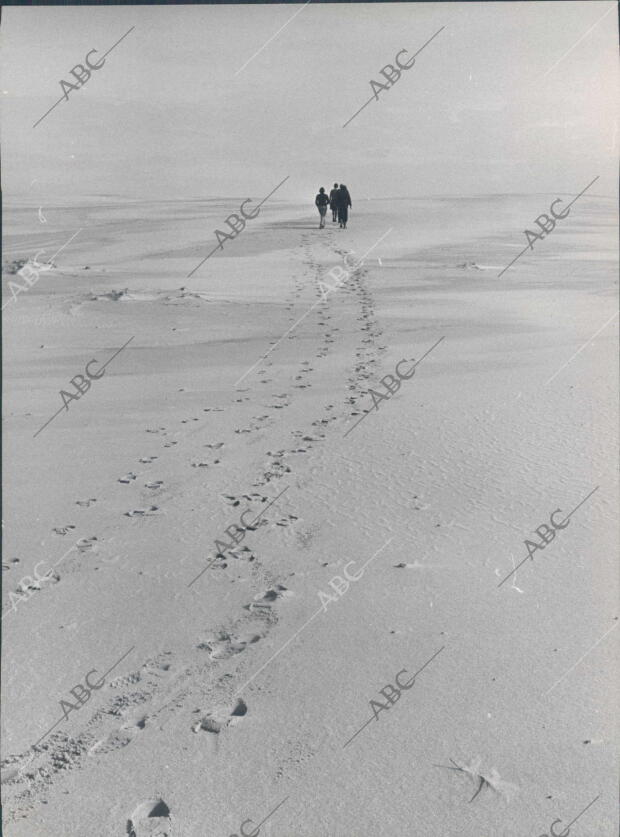 Dunas en el coto de Doñana