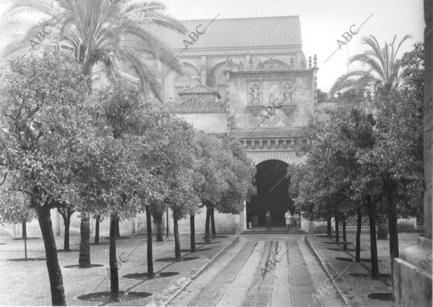 Patio de los Naranjos de la mezquita de Córdoba