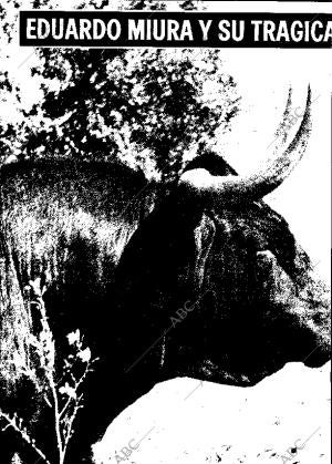 ABC MADRID 23-02-1975 página 116