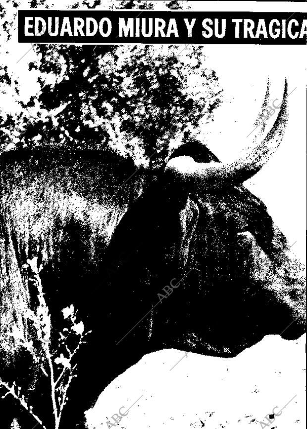 ABC MADRID 23-02-1975 página 116