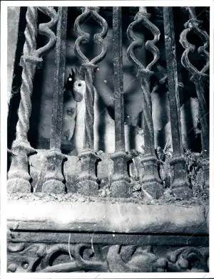 El visitante de la Bella catedral de santo domingo de la calzada Descubre...