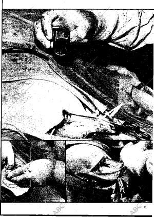 BLANCO Y NEGRO MADRID 22-03-1975 página 9