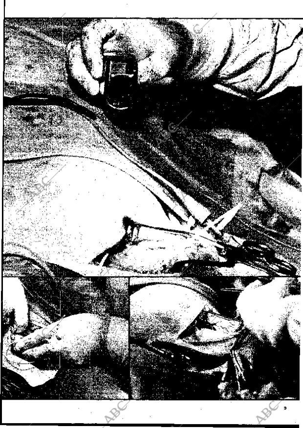 BLANCO Y NEGRO MADRID 22-03-1975 página 9