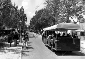 Autobuses Dedicados A recorrer la Feria internacional del campo