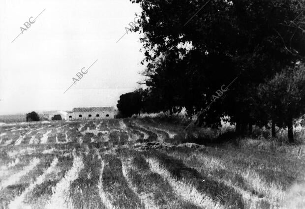 Crimen de los Galindos: cortijo de los Galindos donde cinco Personas Fueron...