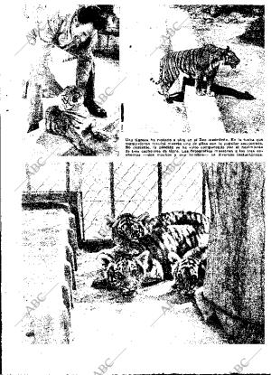 ABC MADRID 02-08-1975 página 9