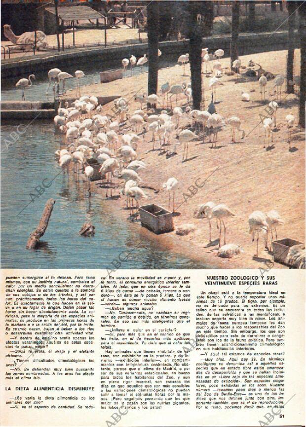 ABC MADRID 31-08-1975 página 139