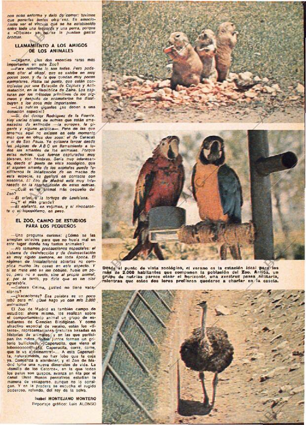 ABC MADRID 31-08-1975 página 141