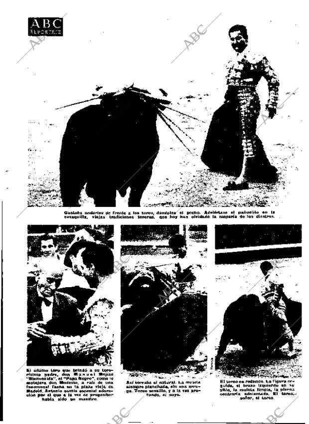 ABC MADRID 08-10-1975 página 117