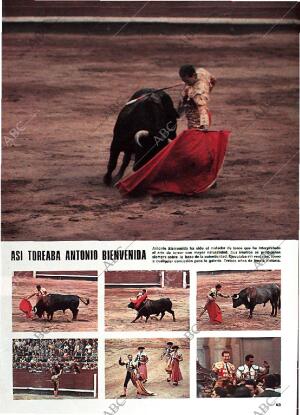 BLANCO Y NEGRO MADRID 11-10-1975 página 43