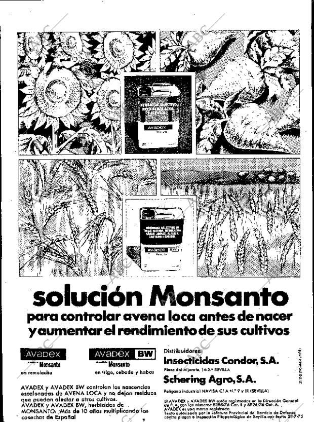 ABC SEVILLA 12-10-1975 página 24