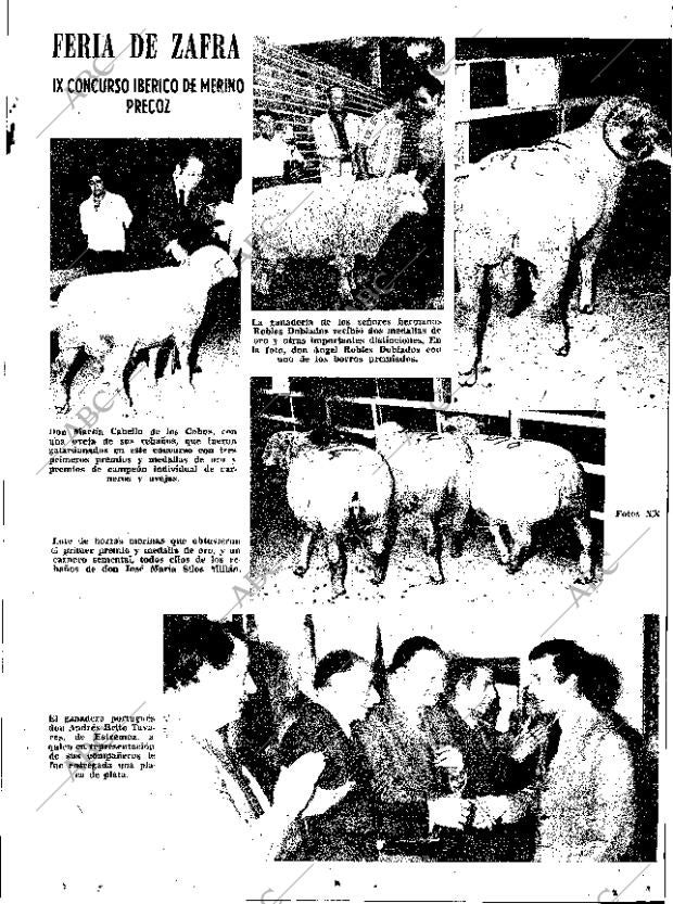 ABC SEVILLA 14-10-1975 página 5