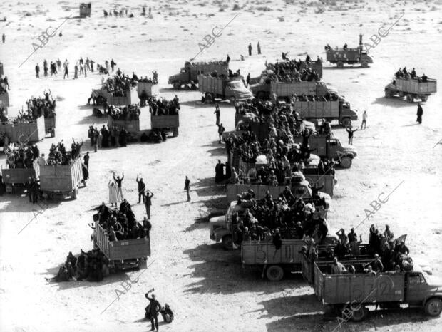 Componentes de la llamada marcha verde Acoplados en Camiones Esperan el comienzo...