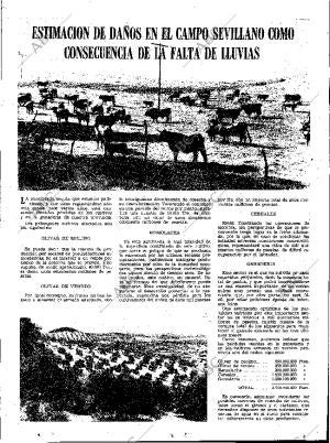 ABC SEVILLA 04-12-1975 página 13