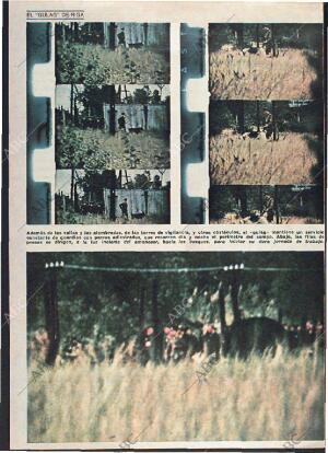 ABC MADRID 15-02-1976 página 124