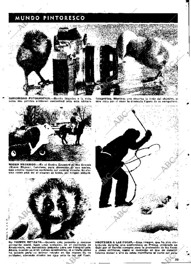 ABC MADRID 11-03-1976 página 111