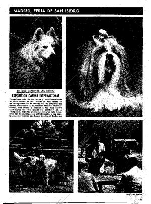 ABC MADRID 15-05-1976 página 15
