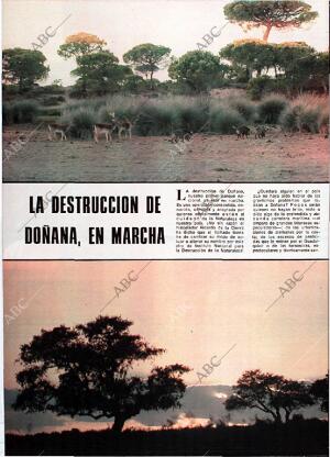 BLANCO Y NEGRO MADRID 26-06-1976 página 44